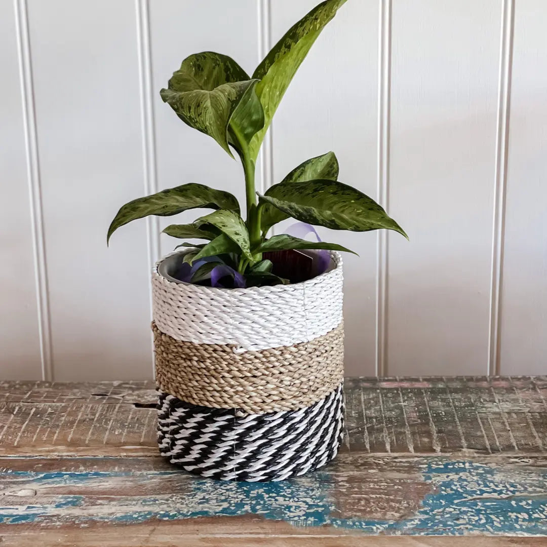 woven pot plant Woven Seagrass Pot Plant Holders|Coastal Boho Style – Suksma